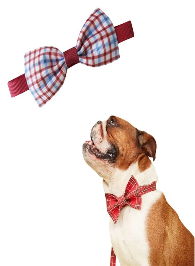 سايج سكوير ربطة عنق مربعة للكلاب من سيج: تصميم بطبعة كلاب رائعة، متينة وسهلة العناية، قابلة للتعديل ومريحة - متعددة الألوان، مقاس واحد (قابل للتعديل) - مثالية للكلاب من جميع السلالات والأعمار - Image 1